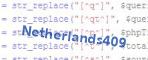 security code